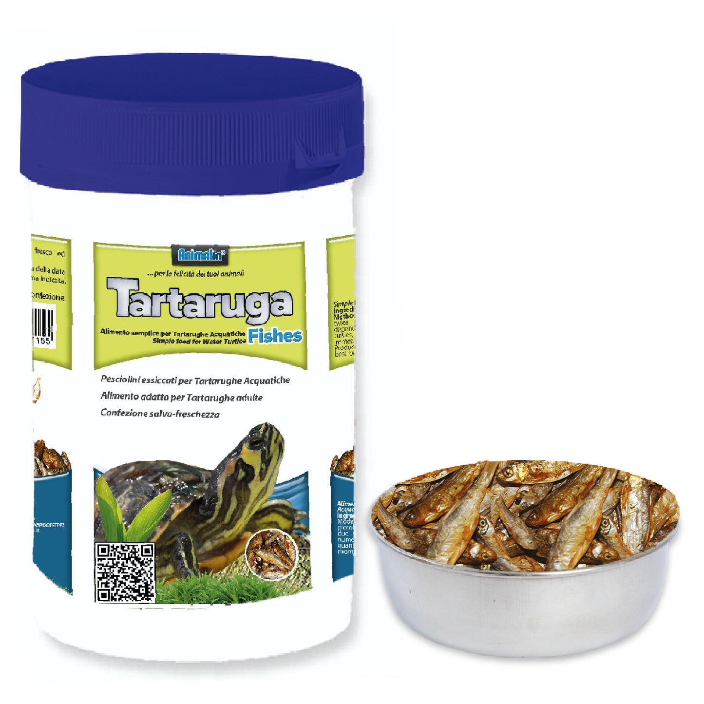 TARTARUGA FISHES