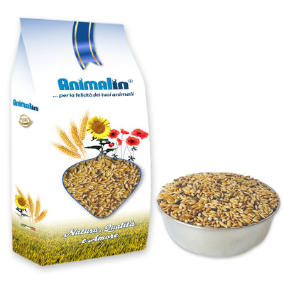 MIX CANARINI 4 SEMI CON PERILLA
