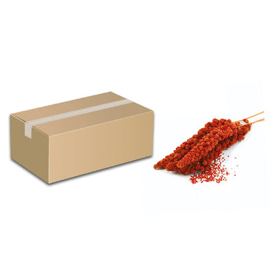 Seme di panico in spiga rosso naturale per uccelli ornamentali, 5 kg