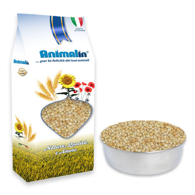 Seme di miglio naturale per uccelli, alimento vegetale pulito e selezionato
