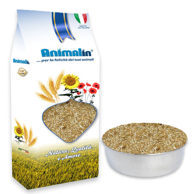 Seme di scagliola ventilato canadese per uccelli, alimento naturale vegetale pulito aerodinamicamente