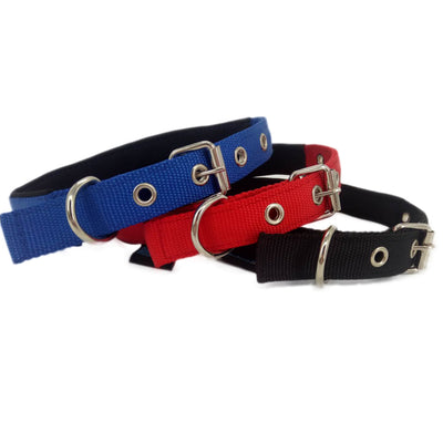 Collare nylon doppio lux con neoprene interno per cani grandi, robusto e confortevole