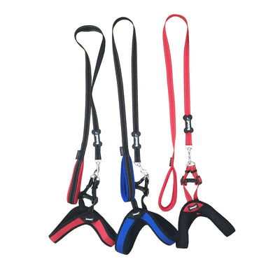Parure sporty pettorina per cani L/XL con guinzaglio in tessuto tecnico e nylon, lunghezza 120 cm