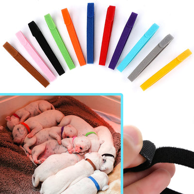 Collarini indeficativi per cucciolate con velcro regolabile, set 15 pezzi mix color