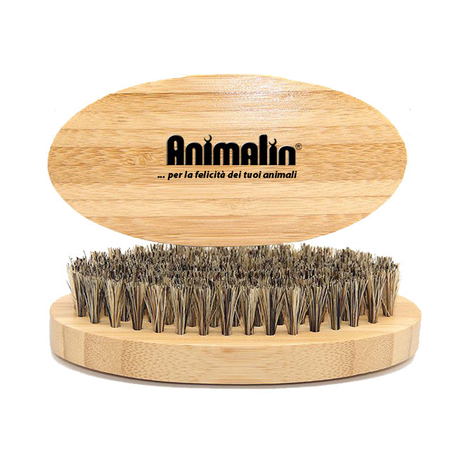 Spazzola con setole in ottone per cani e gatti, impugnatura ergonomica per toelettatura professionale