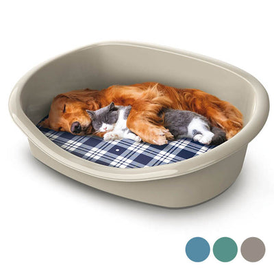Cuccia con cuscino in plastica resistente per cani e gatti, dimensioni 46 x 35 x 18 cm