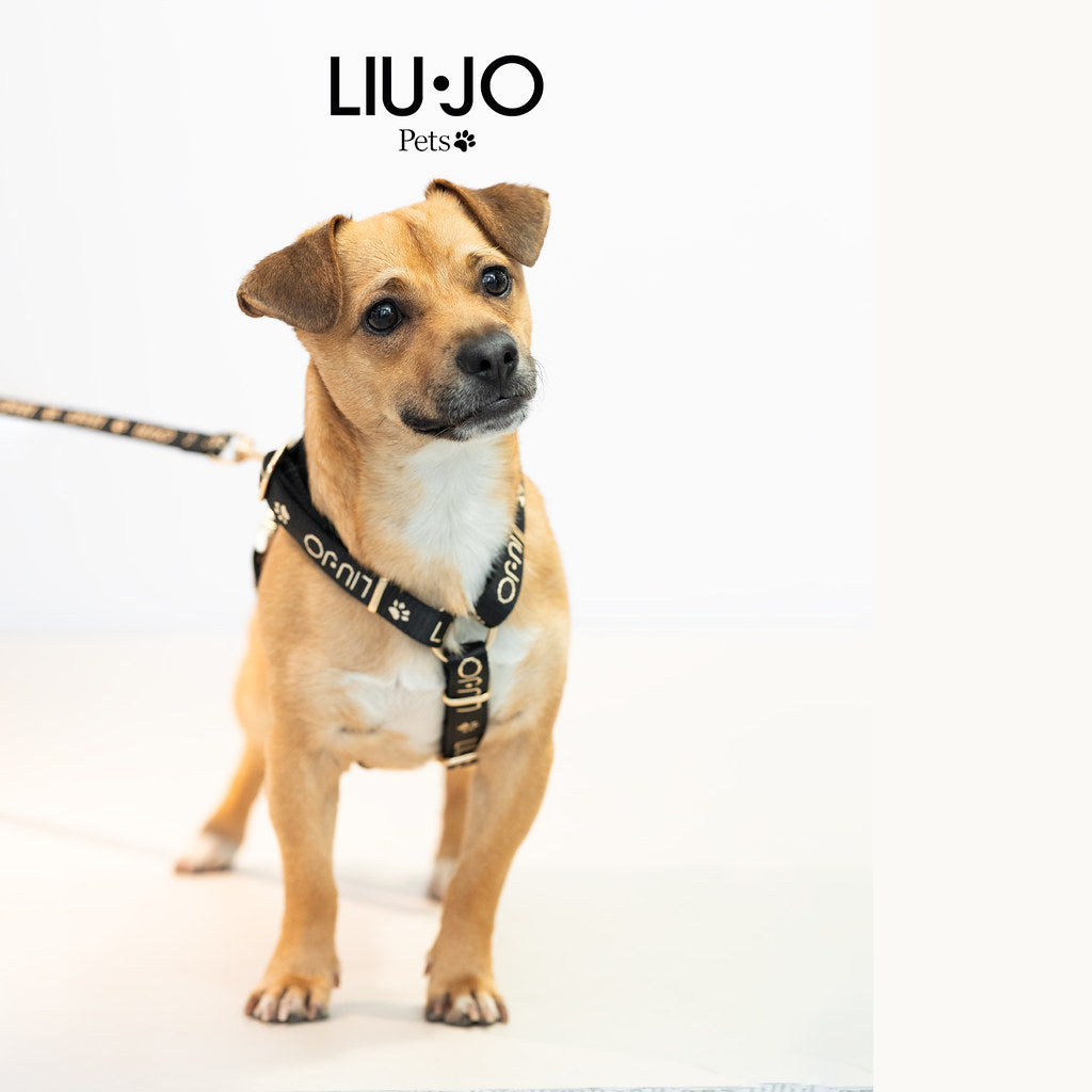 Liu Jo pettorina H maculata nera per cane