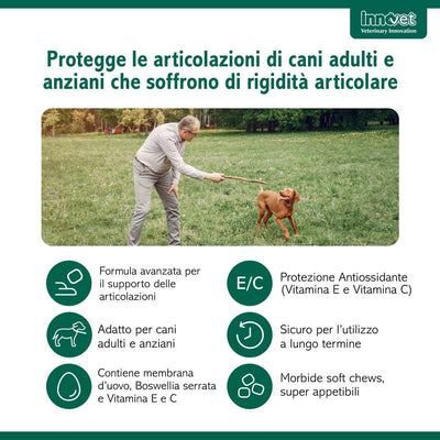 Innovet Condrostress Mobility 60 Soft Chews per Cani - Supporto Articolare