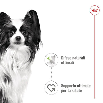 Royal Canin X-Small Adult 85 g alimento umido per cani adulti di taglia Mini Toy con bocconcini in salsa