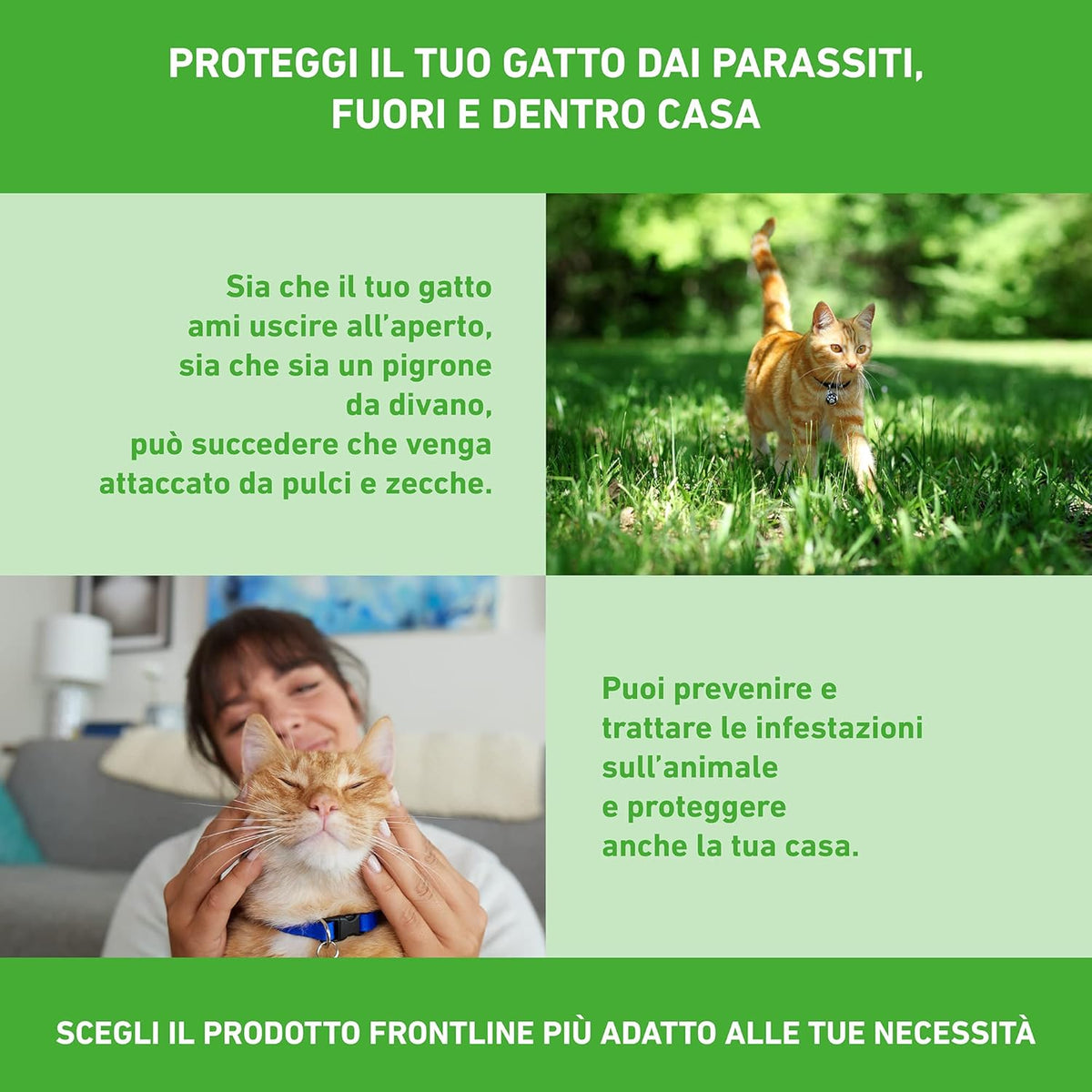 FRONTLINE COMBO GATTO 3 PIPETTE