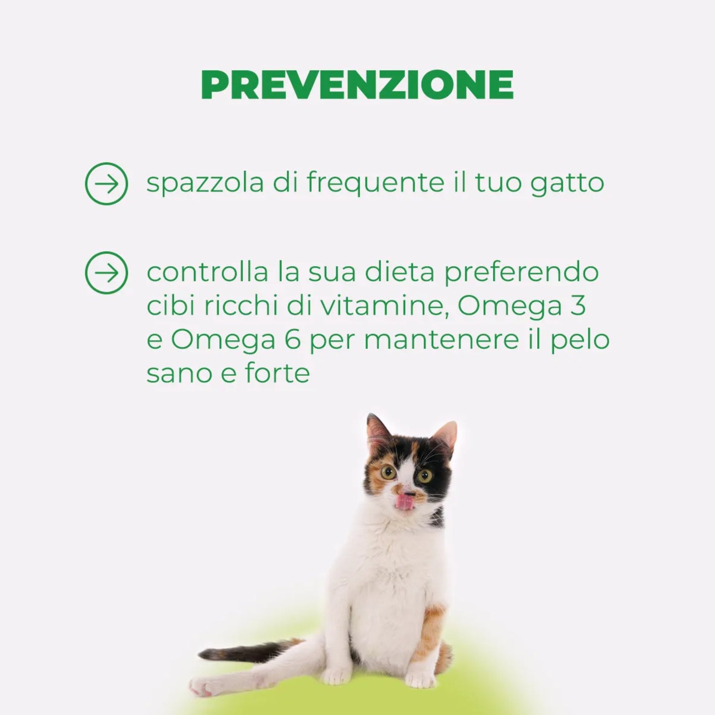REMOVER 20 GR