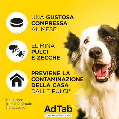 ADTAB CANE 11-22 KG 450 MG VERDE 3 COMPRESSE