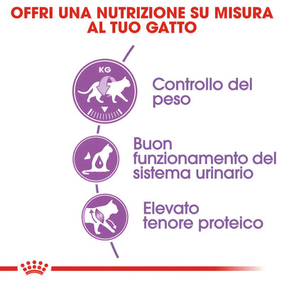 ROYAL CANIN Sterilised 37 Per Gatti Adulti Sterilizzati Da 1 a 7 anni Controllo del peso Supporto del sistema urinario 2 kg