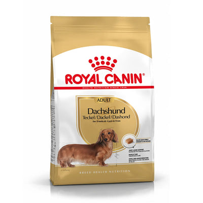 Mangime secco per cani Bassotto adulti in crocchette, confezione da 1,5 kg con supporto articolare