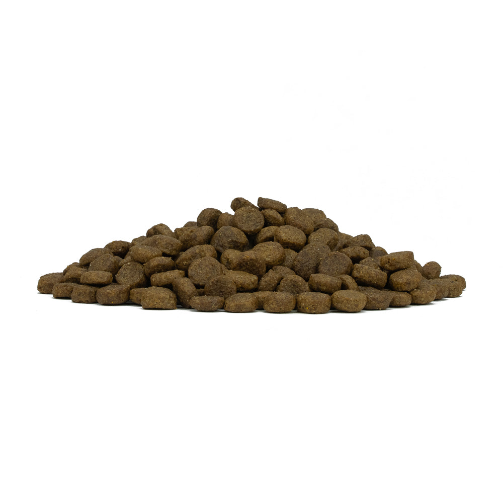 FORZA 10 PESCE ADULT MINI 2 KG