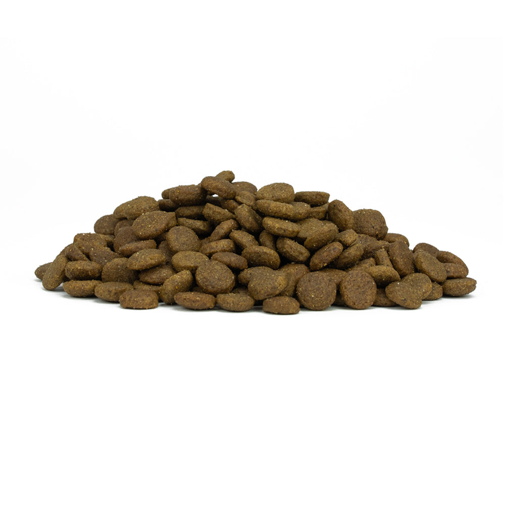 FORZA 10 PUPPY MINI PESCE 2 KG