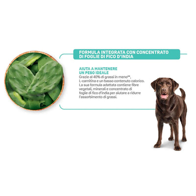 NATURAL TRAINER DOG LIGHT MEDIUM MAXI TACCHINO 12 KG