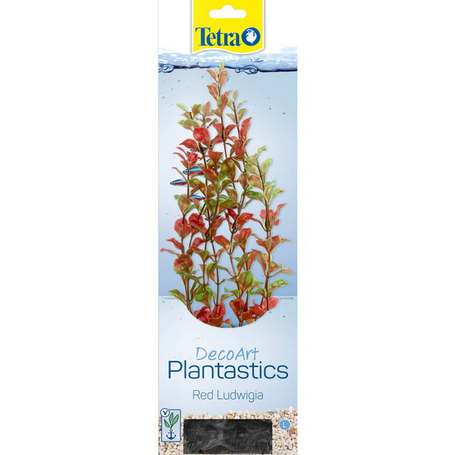TETRA PIANTA DECORATIVA RED LUDWIGIA