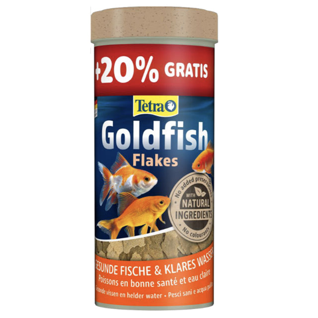 TETRA GOLDFISH
