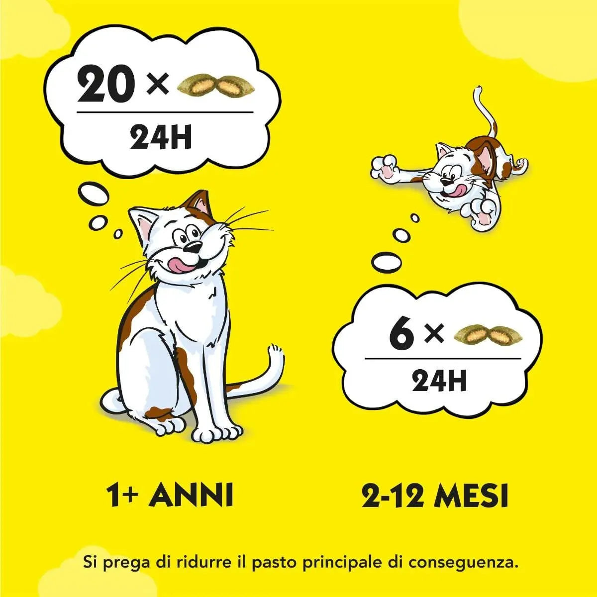 CATISFACTIONS Erba Gatta 180 gr