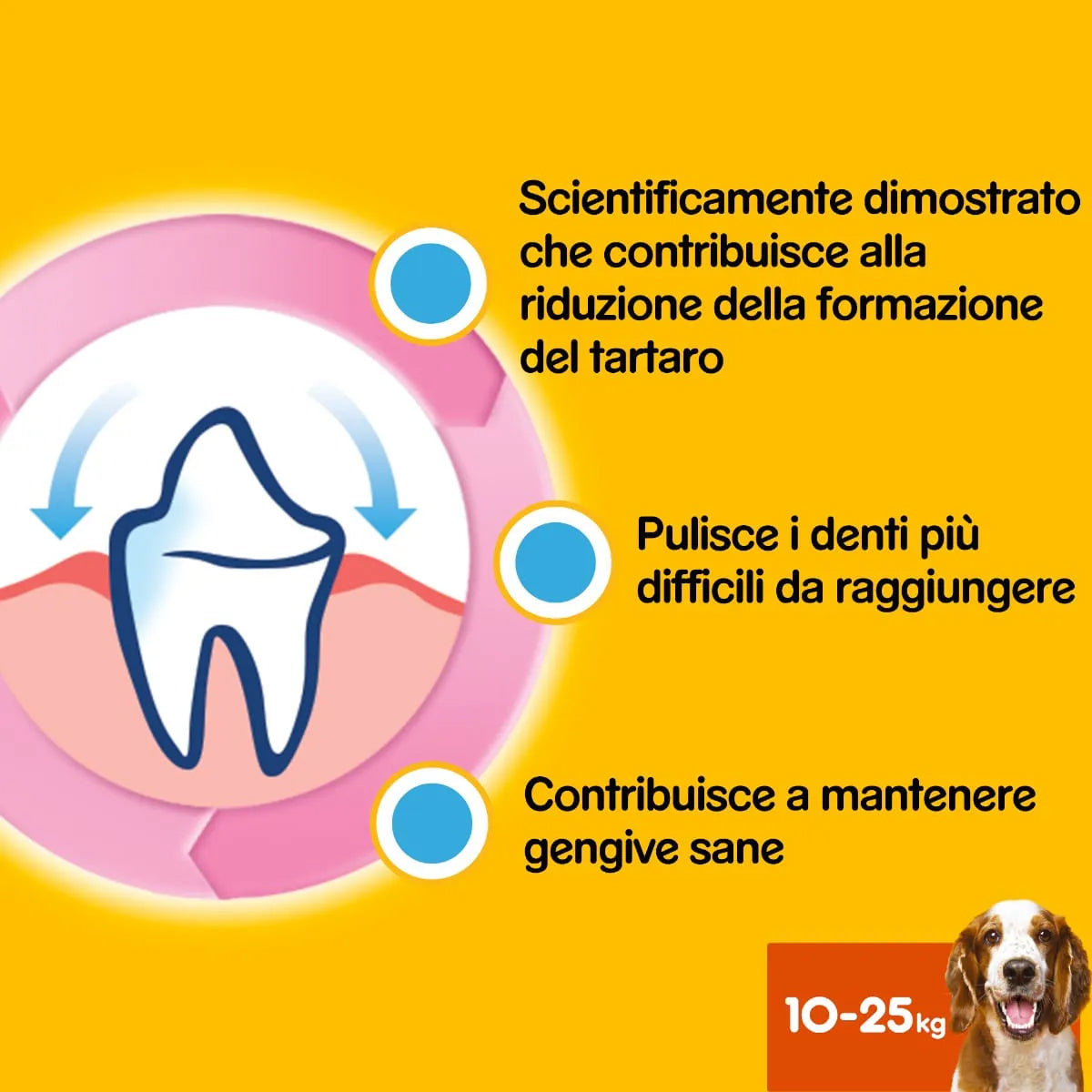 DENTASTIX Multipack Medium x28