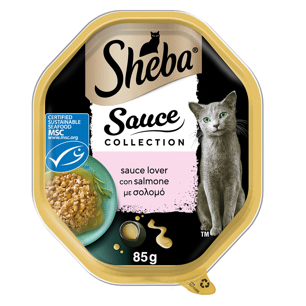 Sheba Sauce Collection Salmone 85g, alimento umido completo per gatti adulti in vaschetta