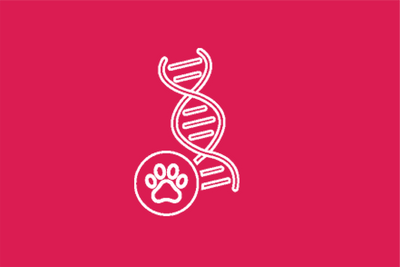 Monoproteici