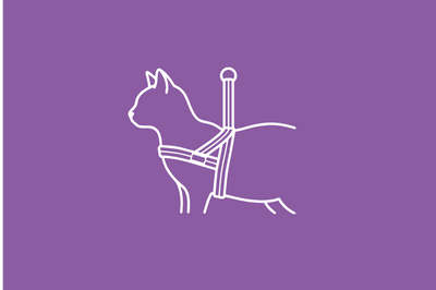 Pettorine