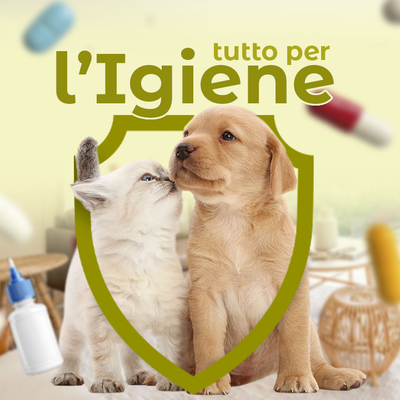 Novità 3