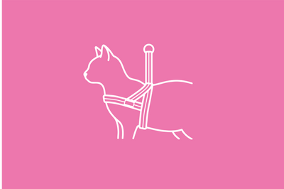 Pettorine