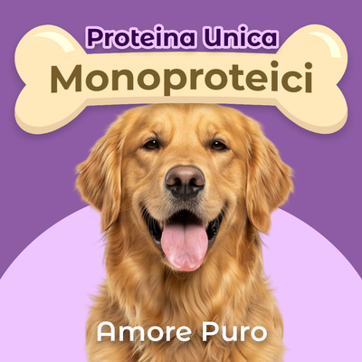 Novità 4