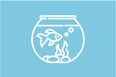 Acquarietti in Plastica