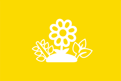 Semi Singoli