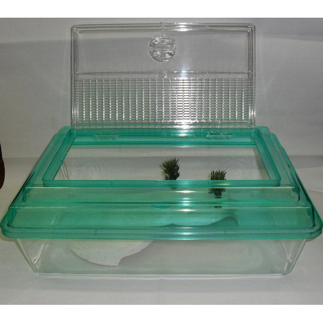 Tartarughiera Rosita per tartarughe acquatiche, 43 × 30 × 14,5 cm, vasca resistente