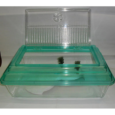 Tartarughiera Rosita per tartarughe acquatiche, 43 × 30 × 14,5 cm, vasca resistente