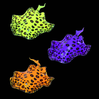 Decorazione razza colorata per acquario, rifugio pesci 16x9x1,8 cm