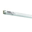 Neon T8 Daylightstar 36 watt 1200 mm per acquario dolce con pellicola UV Stop
