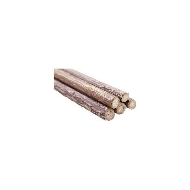 LEGNETTI RAMETTI DA MASTICARE ALBERO DI MELE 10 PZ