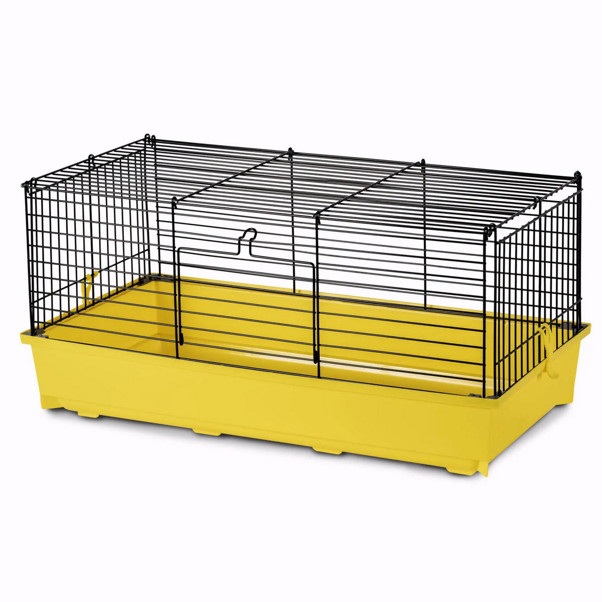 GABBIA LEO CAVIA