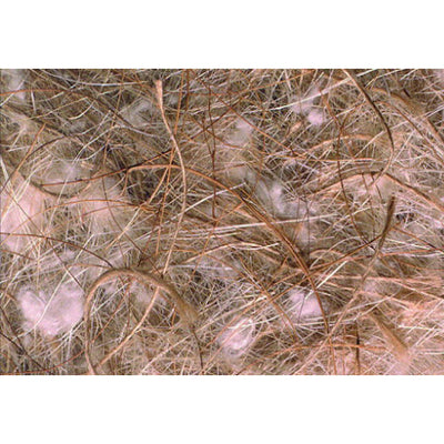 Fibra mix naturale cocco sisal juta cotone per imbottitura nidi uccelli da gabbia e voliera