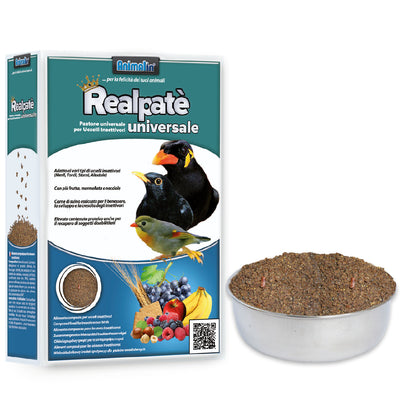 Realpate Universale pastone per uccelli insettivori 850 g con frutta e nocciole