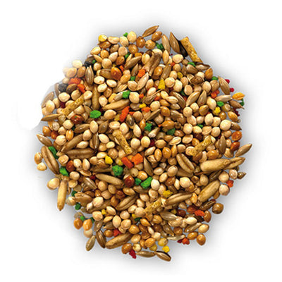 MIX COCORITE PLUS PIU'  GR.1000