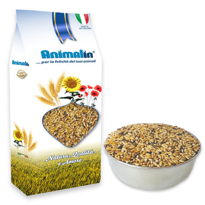Mix canarini 4 semi con perilla bianca, miscela completa per uccelli