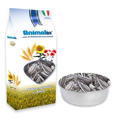 Seme di Girasole Grosso naturale per uccelli e roditori, pulito e selezionato