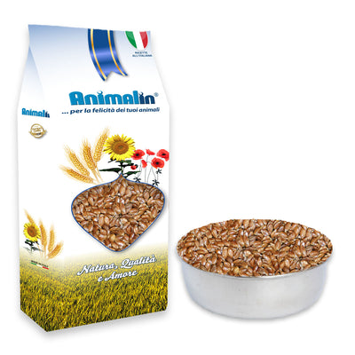 Seme di lino naturale per uccelli, confezionato in atmosfera protettiva, alimento nutriente e facilmente digeribile
