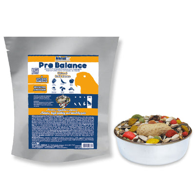 Mangime completo per pappagalli grandi ProBalance Mix con semi selezionati e frutta, confezione 550 g