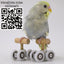 Gioco mini roller skates per pappagallini in metallo e legno, 4 x 2 cm, confezione 2 pezzi