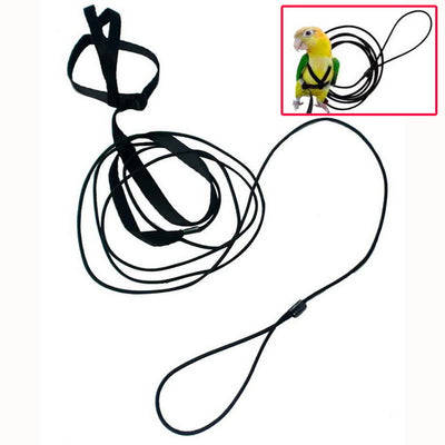 Parure pettorina bird in nylon con guinzaglio elasticizzato regolabile per uccelli