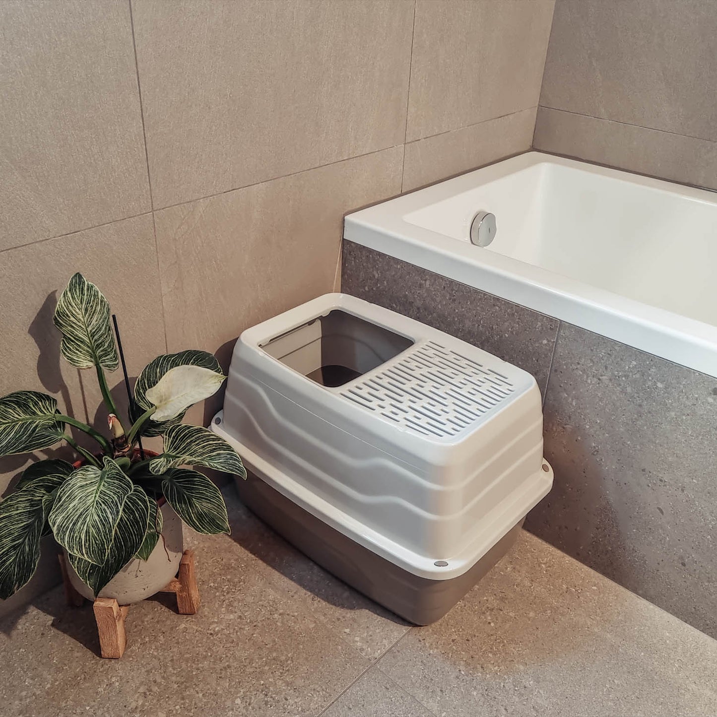 TOILETTE SALTO CON INGRESSO DALL'ALTO CM 56X40X38H