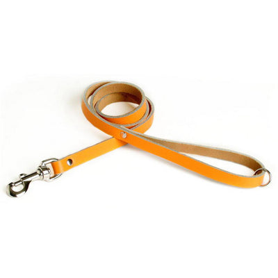 Guinzaglio per cani in cuoio di bufalo resistente, 1,8 cm × 115 cm, con fermagli in metallo